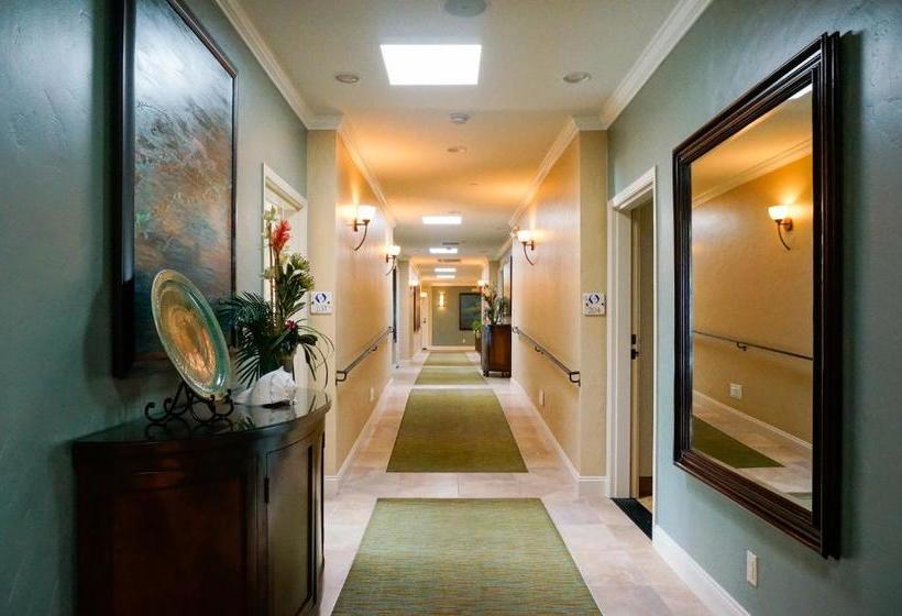 호텔 Blue Dolphin Inn