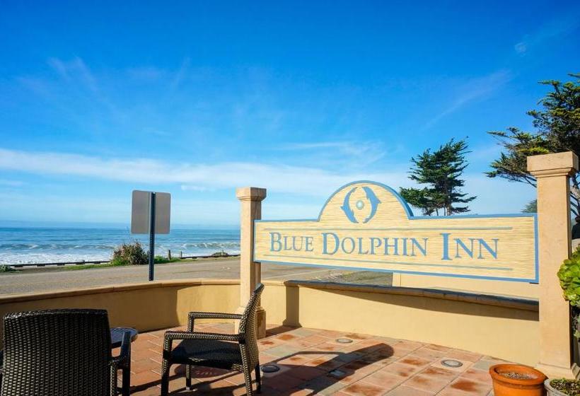 호텔 Blue Dolphin Inn