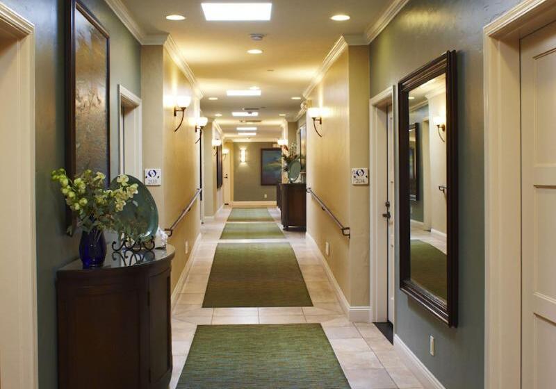 호텔 Blue Dolphin Inn