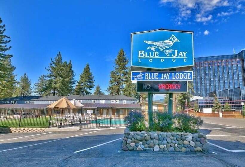 Отель Blue Jay Lodge