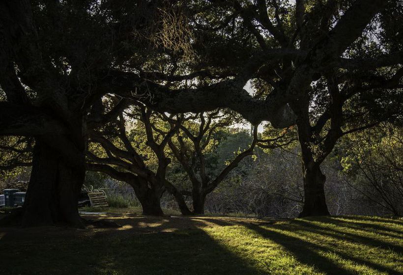 ホテル Blue Sky Lodge