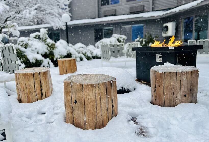 فندق Bluebird Sunapee