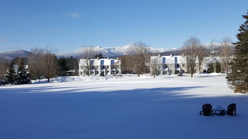 Отель Brass Lantern Inn