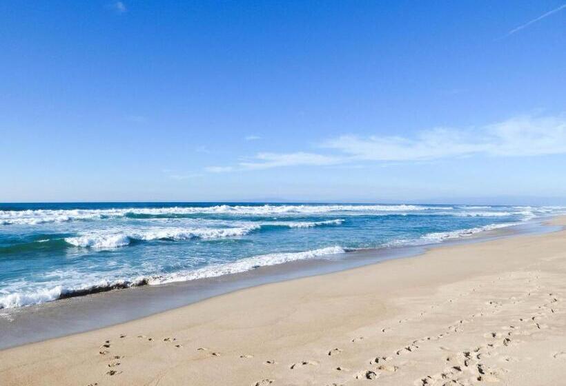 호텔 Briarwood Inn