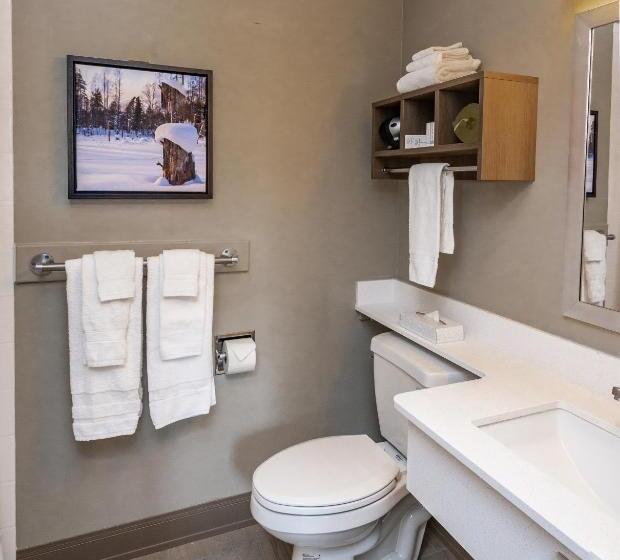 Bridgewater Hotel, Trademark Collection By Wyndham