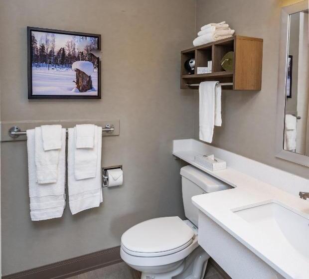 Bridgewater Hotel, Trademark Collection By Wyndham