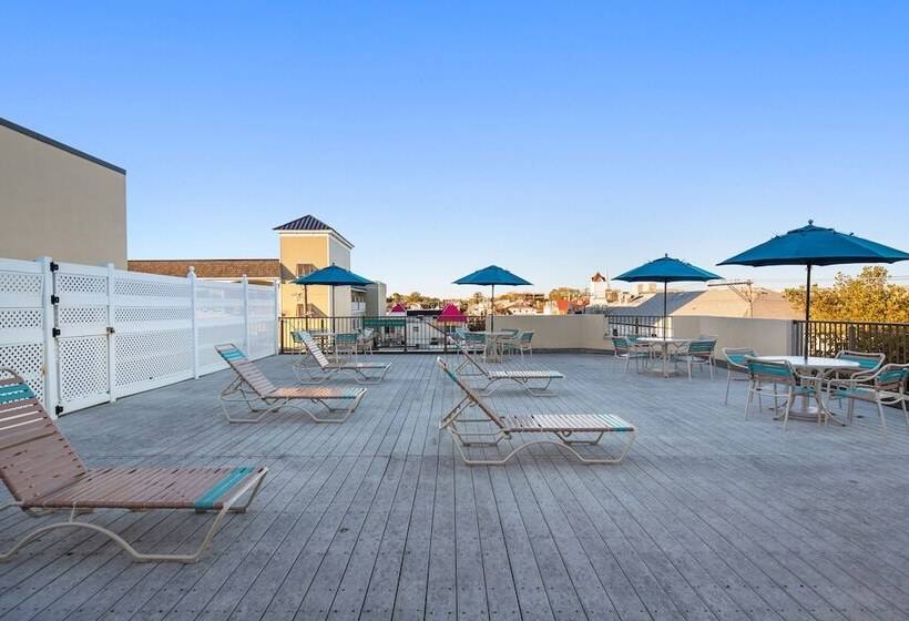 فندق Brighton Suites