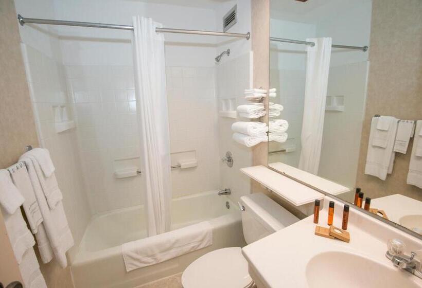 בית מלון כפרי Brown County Inn