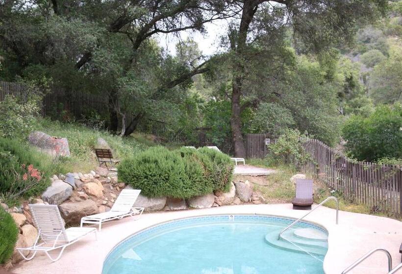 فندق Buckeye Tree Lodge