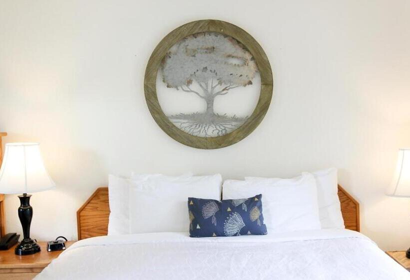 فندق Buckeye Tree Lodge