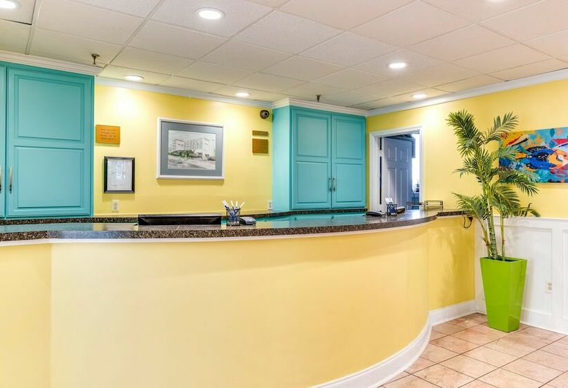 ホテル Cayman Suites