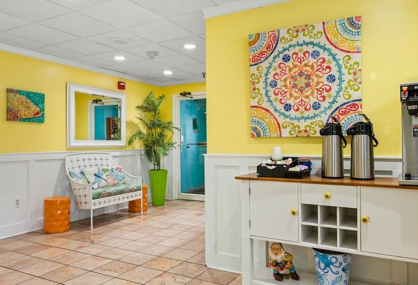 ホテル Cayman Suites