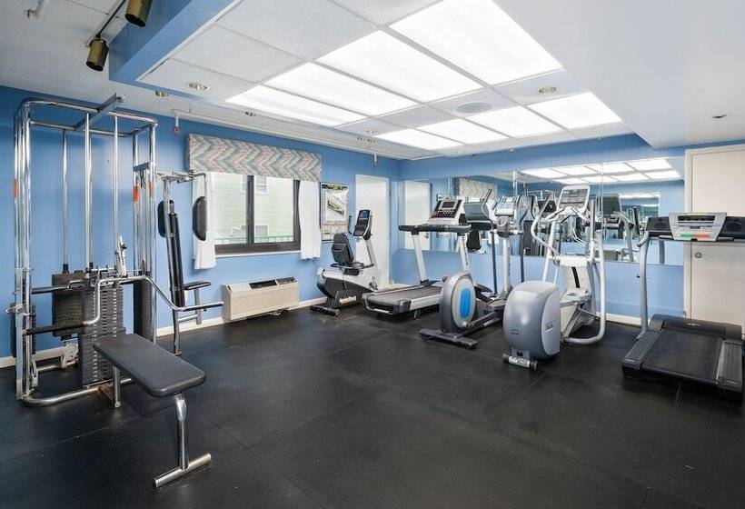 ホテル Cayman Suites