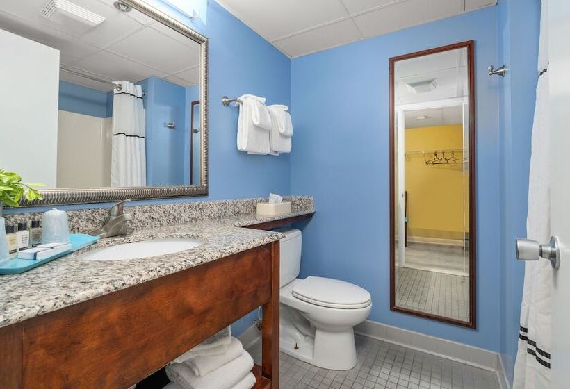 ホテル Cayman Suites