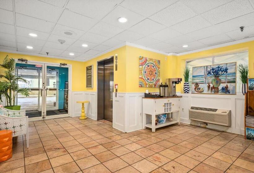 ホテル Cayman Suites