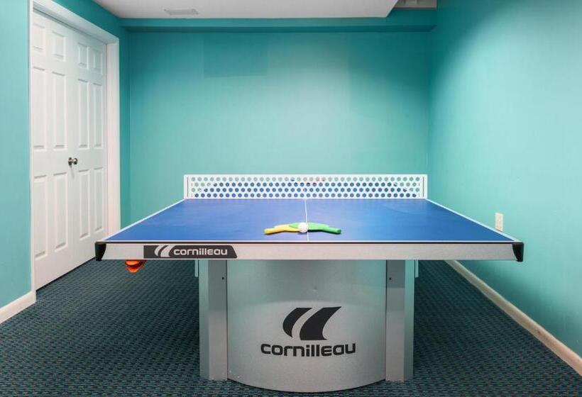 ホテル Cayman Suites