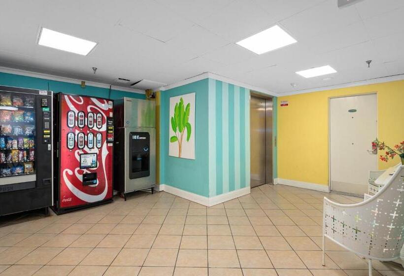 ホテル Cayman Suites