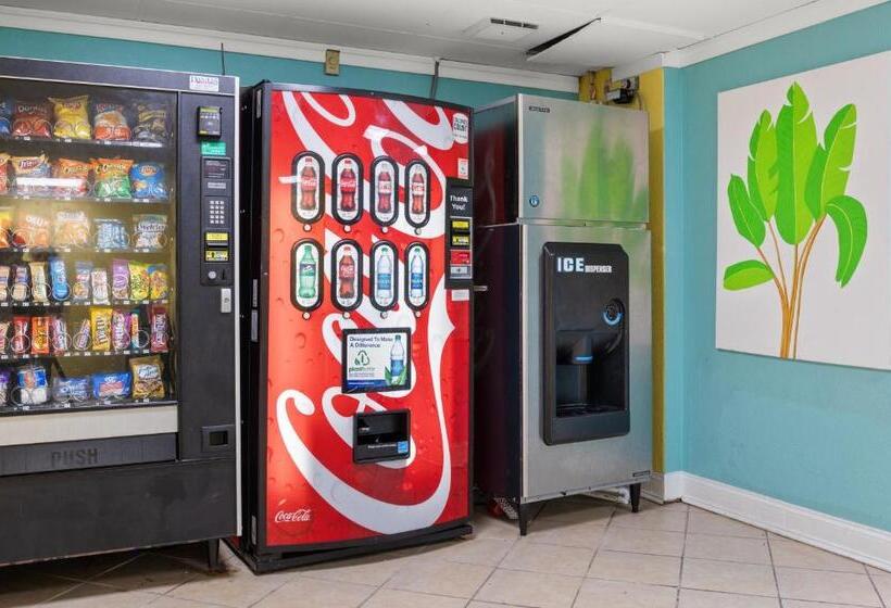 ホテル Cayman Suites