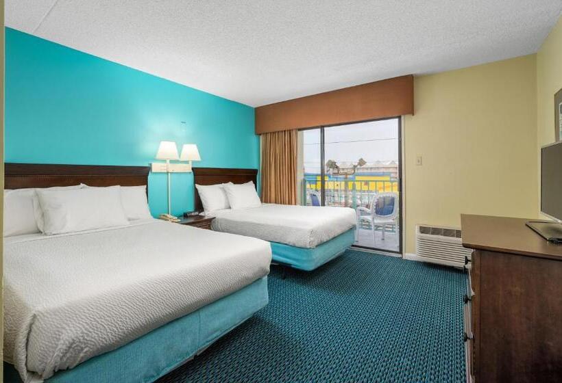 ホテル Cayman Suites