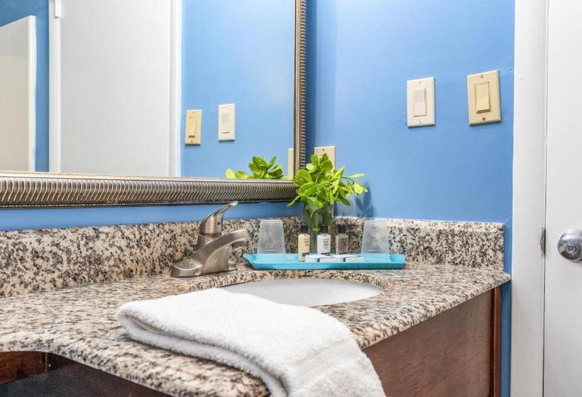 ホテル Cayman Suites