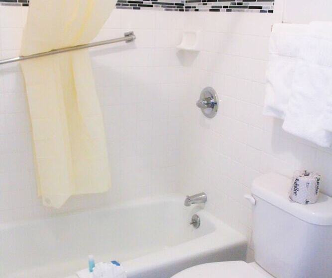 فندق Chaparral Motor Inn