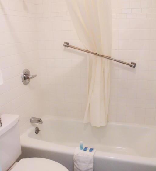 فندق Chaparral Motor Inn