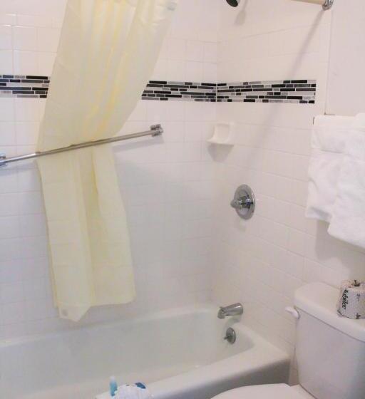 فندق Chaparral Motor Inn