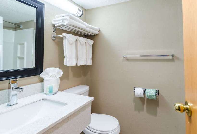 בית מלון כפרי Clarion  And Aqua Lagoon Waterpark