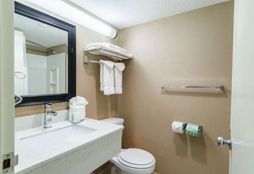 בית מלון כפרי Clarion  And Aqua Lagoon Waterpark