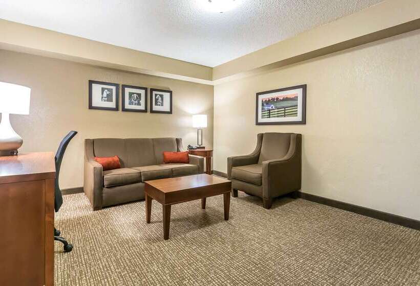 هتل Comfort Inn & Suites