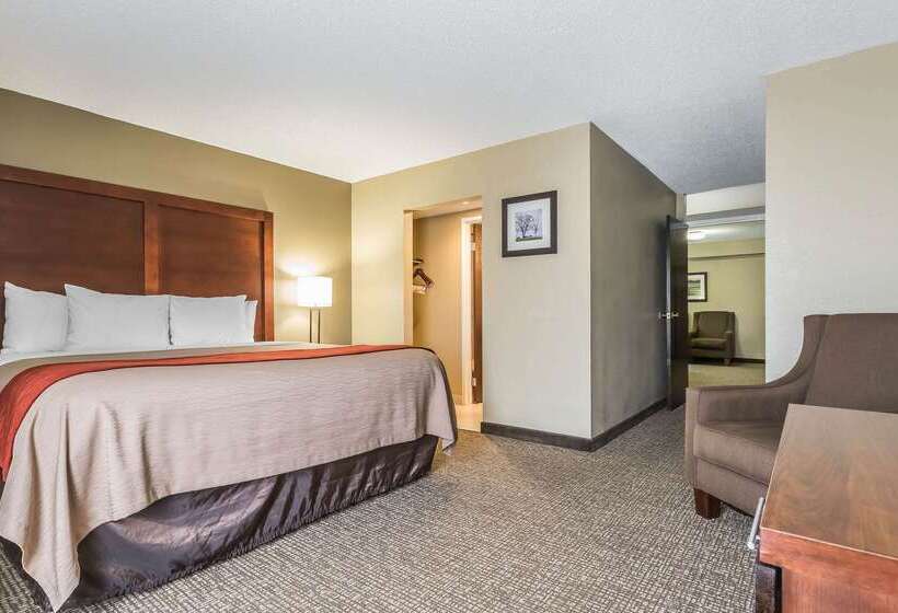 هتل Comfort Inn & Suites