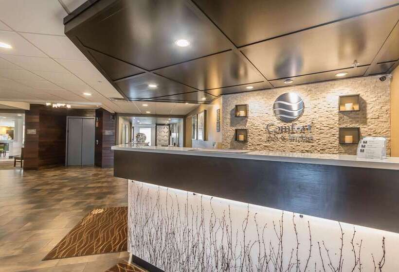 هتل Comfort Inn & Suites