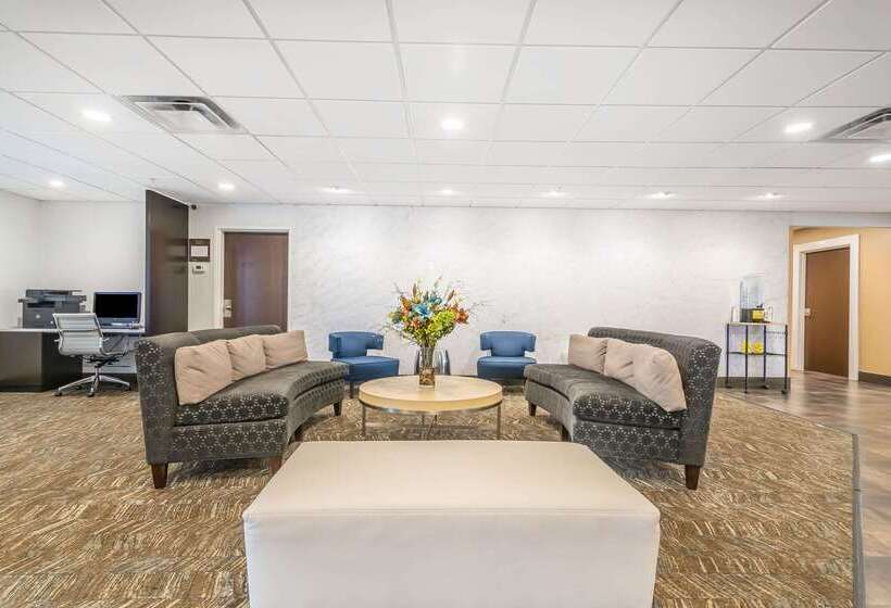 هتل Comfort Inn & Suites