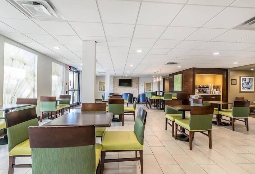 هتل Comfort Inn & Suites