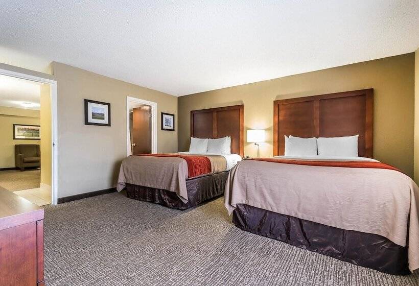 هتل Comfort Inn & Suites