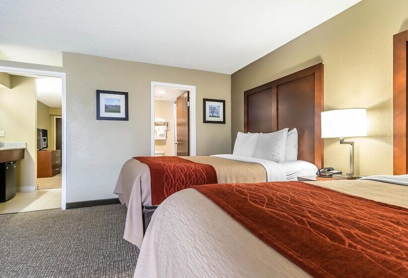 هتل Comfort Inn & Suites