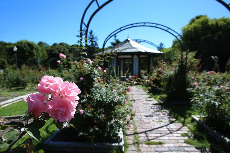 בית מלון כפרי Crowne Plaza Syracuse, An Ihg