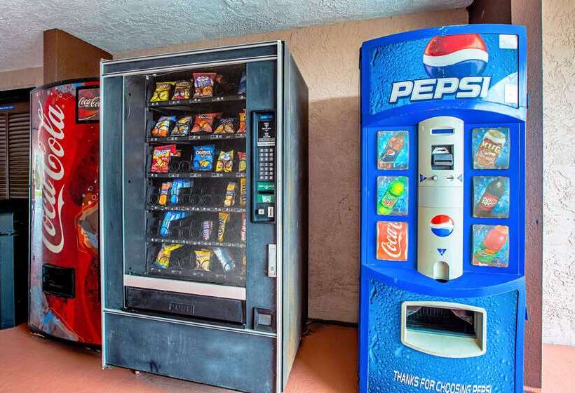 فندق Quality Inn & Suites Live Oak I10 Exit 283