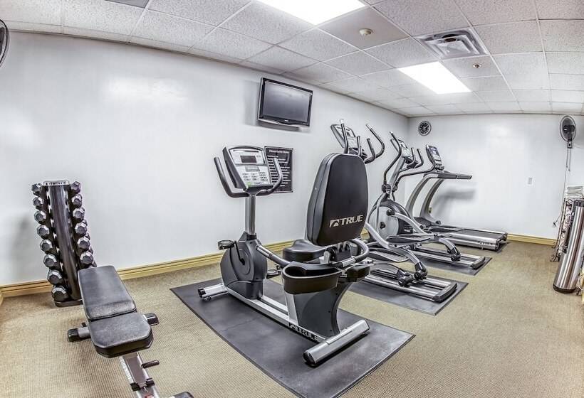 Salt Lake Plaza Hotel Surestay Collection By Best Western