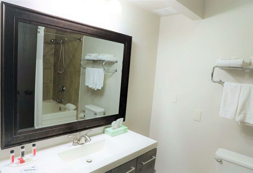 Отель Super 8 By Wyndham High Point/greensboro