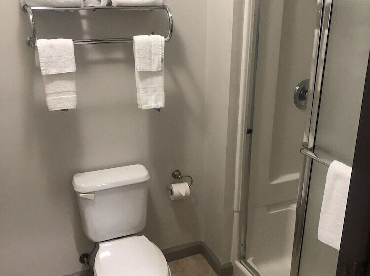 هتل Super 8 By Wyndham High Point/greensboro