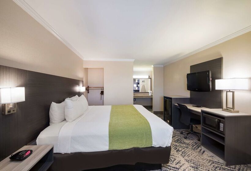 Surestay Hotel By Best Western Rockdale