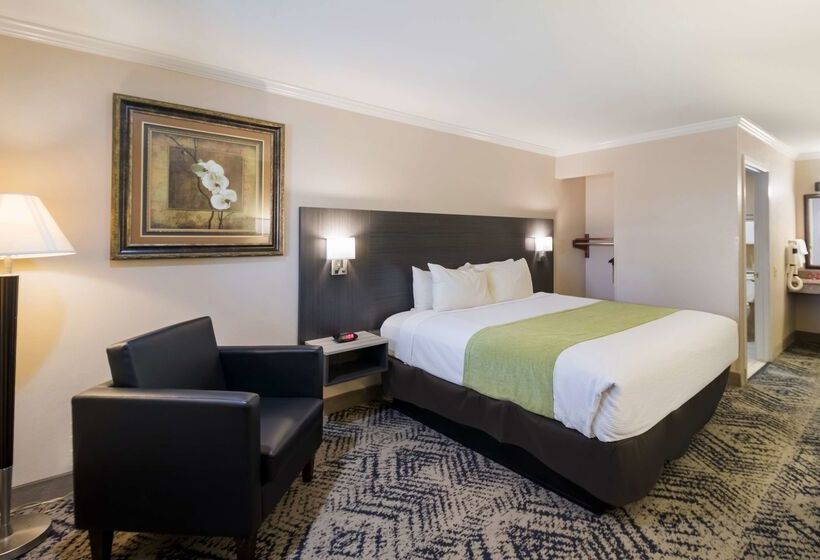 Surestay Hotel By Best Western Rockdale