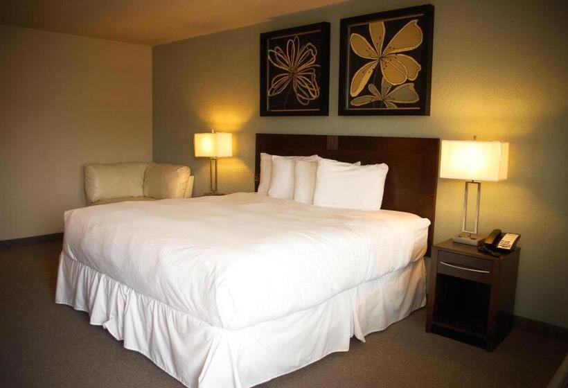 ホテル Unique Suites