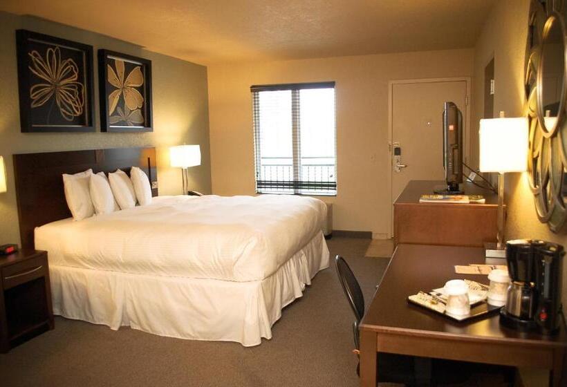 ホテル Unique Suites