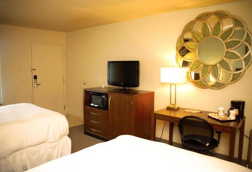 ホテル Unique Suites