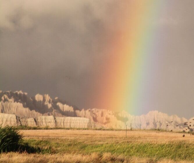 فندق على الطريق Badlands Hotel & Campground