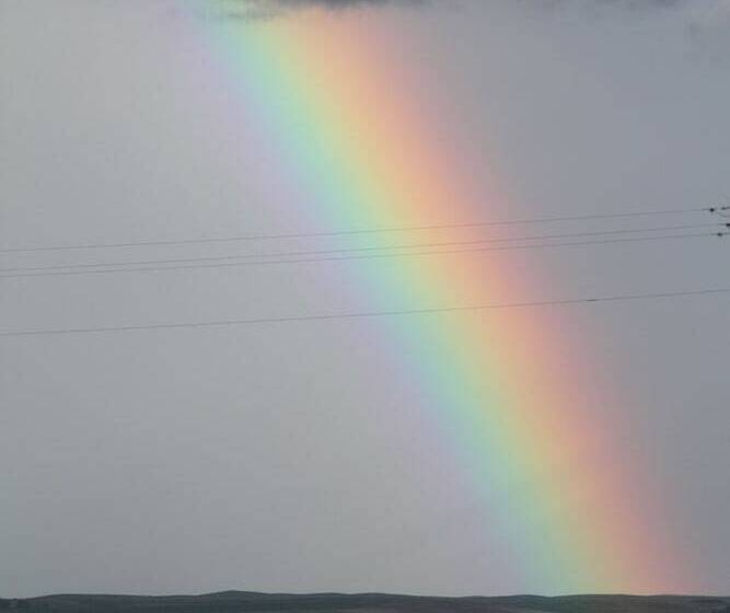 فندق على الطريق Badlands Hotel & Campground