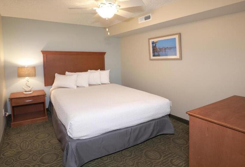 מוטל Biscayne Family Resort