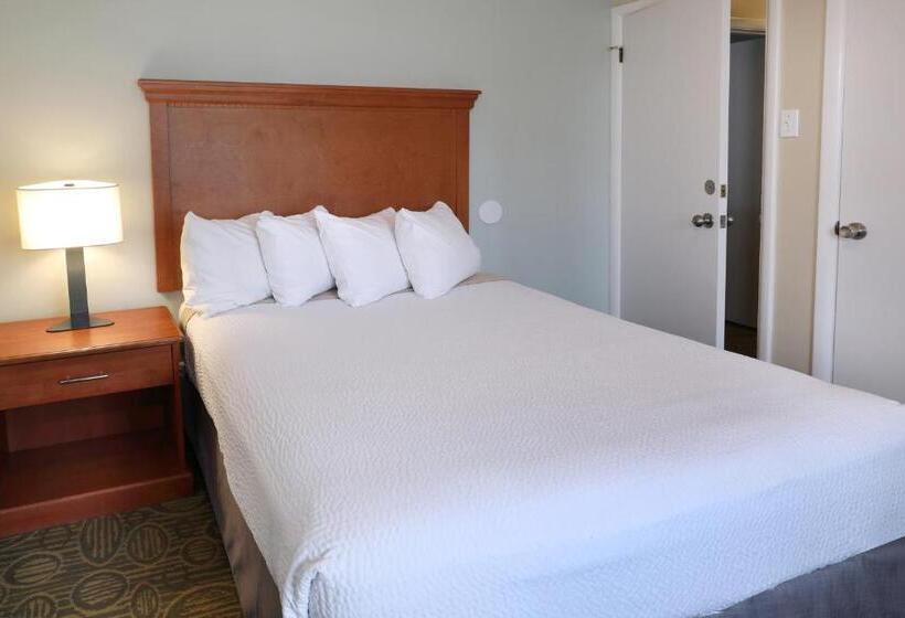 מוטל Biscayne Family Resort